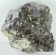 Galena Crystal Cluster - Bulgaria #62252-4